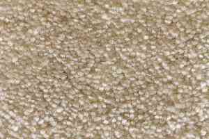 Ковролин AW Masquerade Euphoria 39 фото  | FLOORDEALER